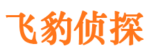 通道婚外情调查取证